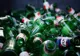 Empty glass beer bottles