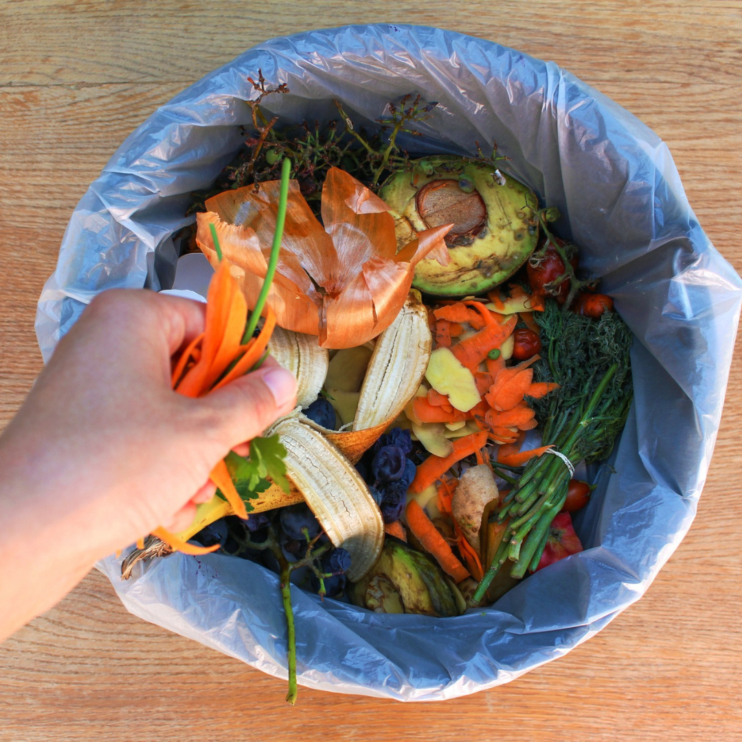 Food waste bin